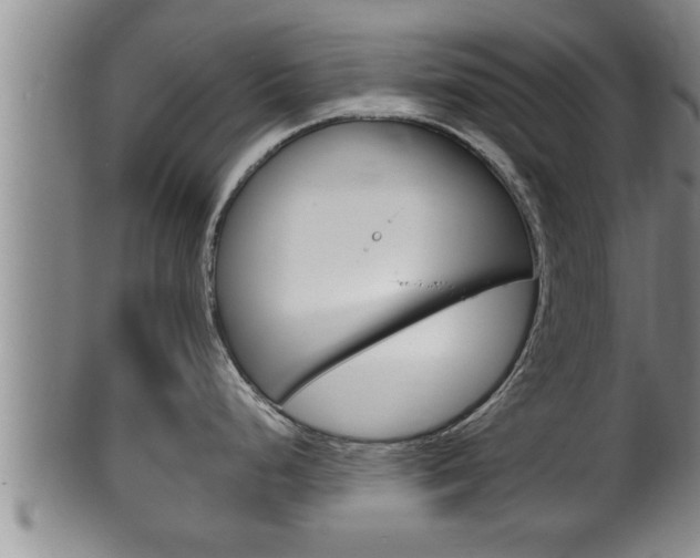 X0000100371248200806060754
