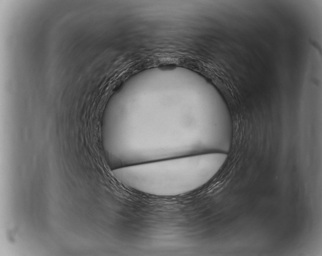 X0000100371249200806060753