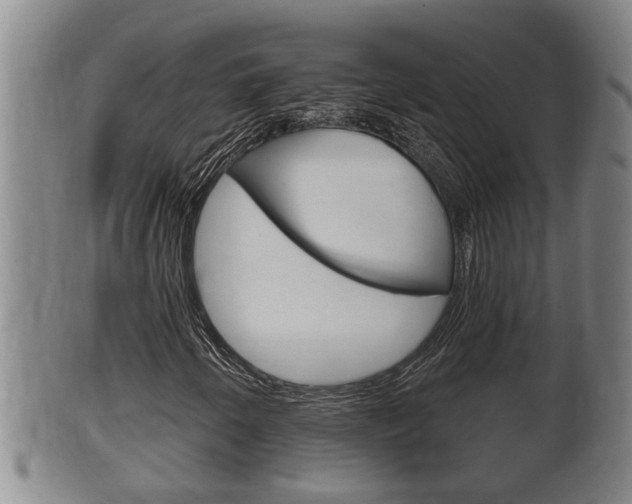 X0000100371250200806060753