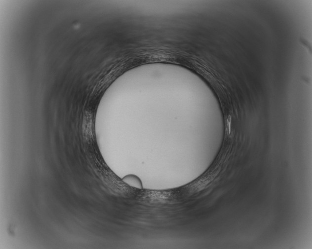 X0000100371251200806060753