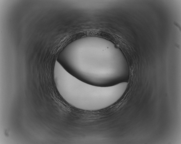 X0000100371252200806060753