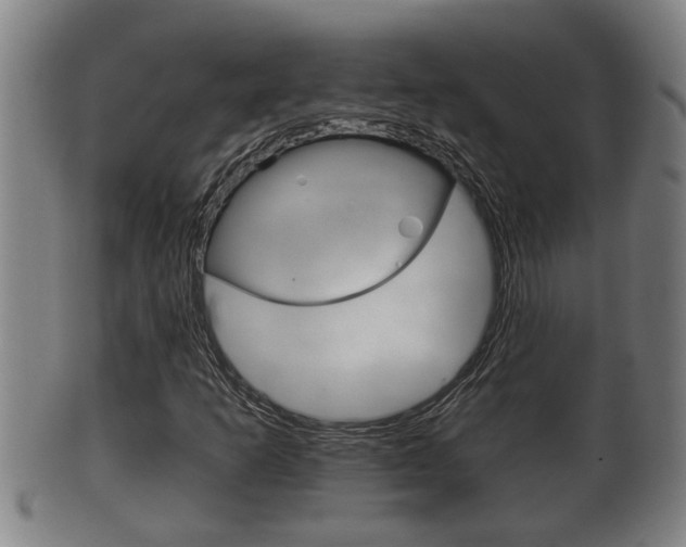 X0000100371253200806060753