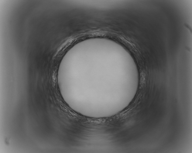 X0000100371254200806060753