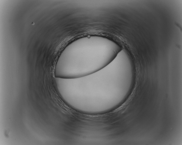 X0000100371257200806060753