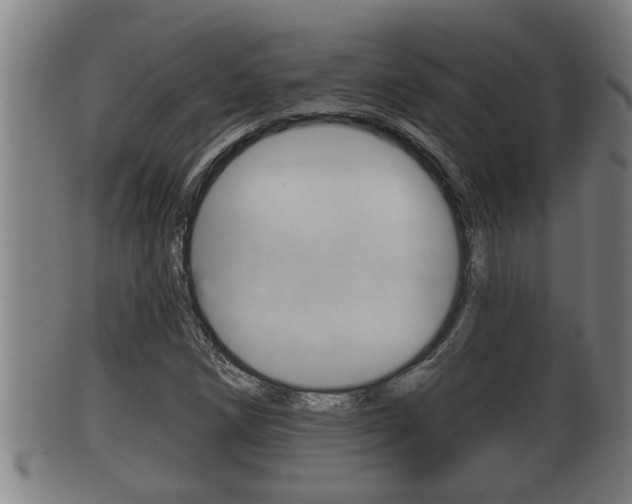 X0000100371258200806060753