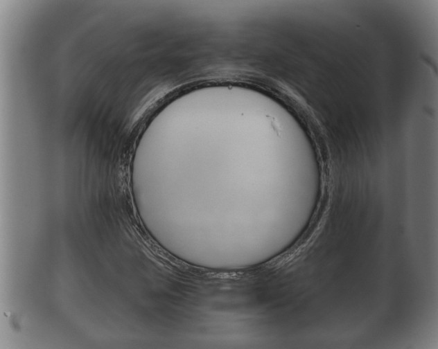 X0000100371259200806060753