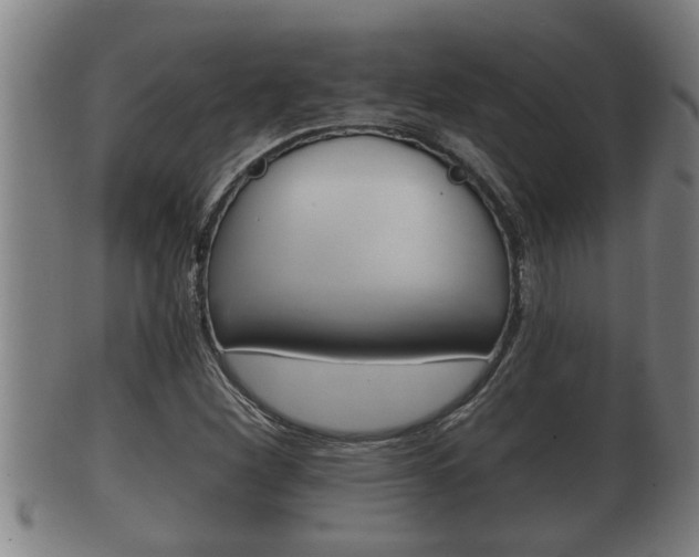 X0000100371260200806060753