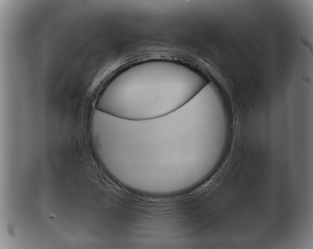 X0000100371261200806060753