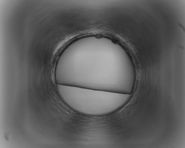 X0000100371262200806060753