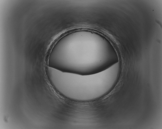X0000100371264200806060753