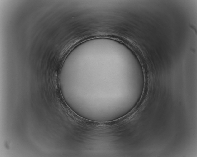 X0000100371265200806060753