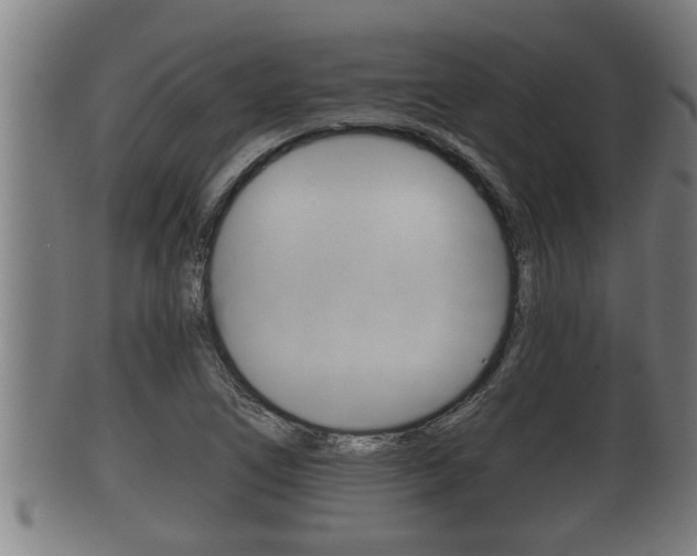 X0000100371266200806060753