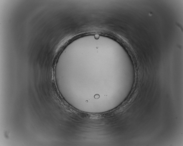 X0000100371267200806060753