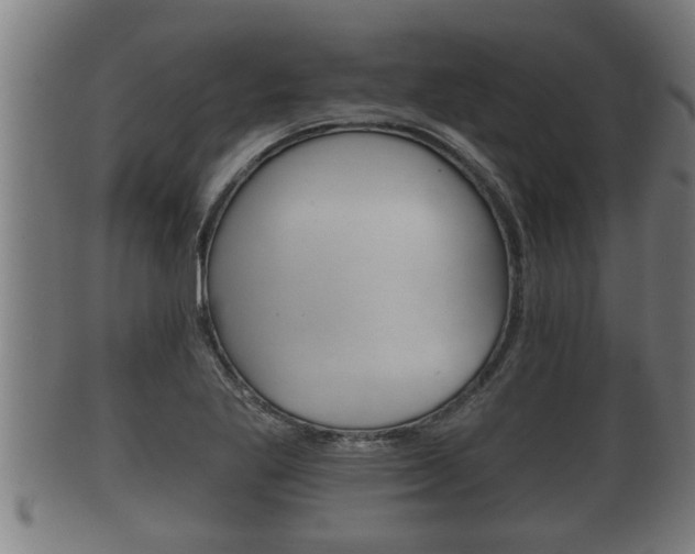 X0000100371269200806060753