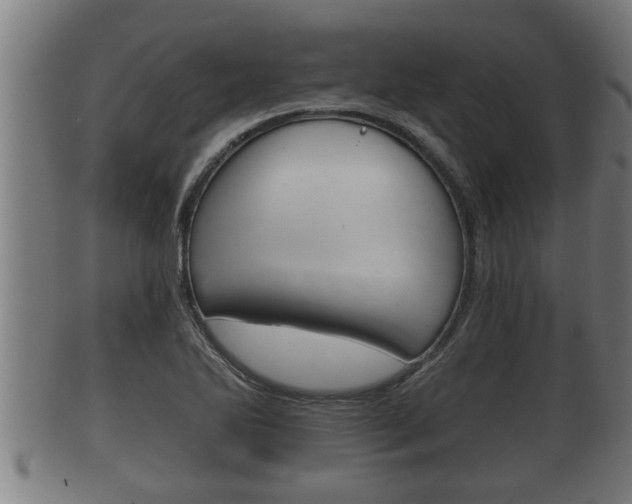 X0000100371270200806060753