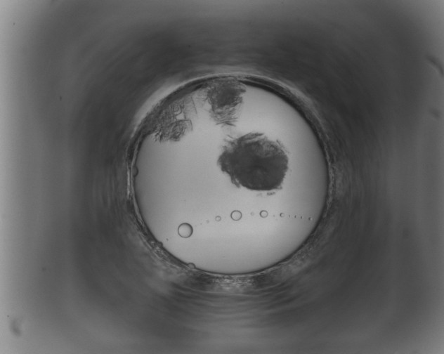 X0000100371271200806060753