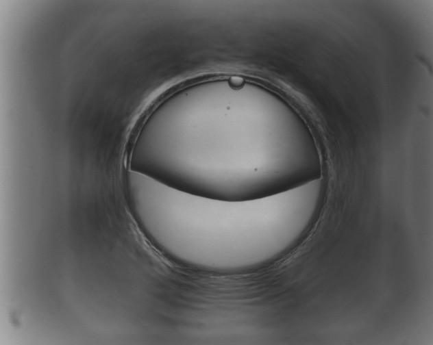 X0000100371272200806060753