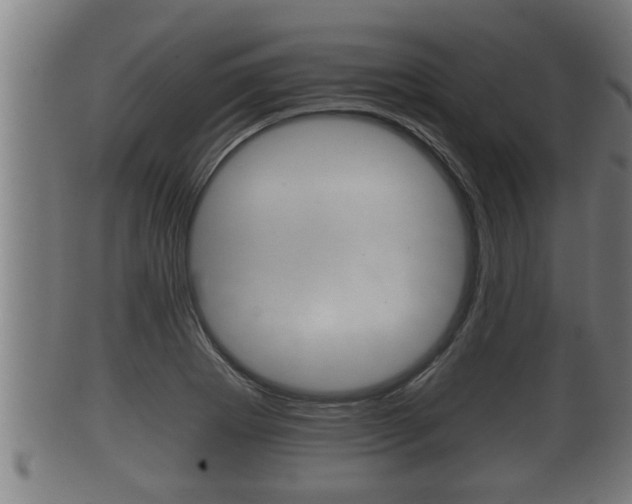X0000100371273200806060753