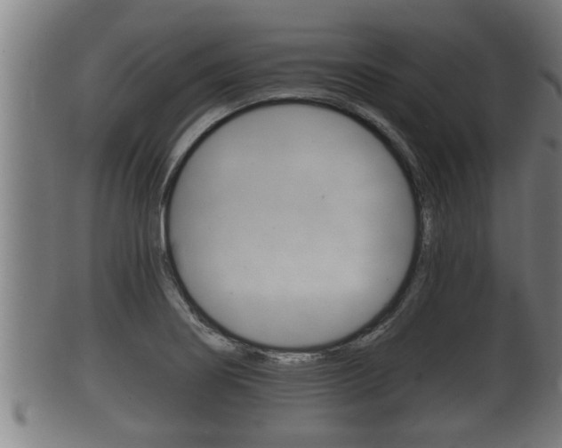 X0000100371274200806060753