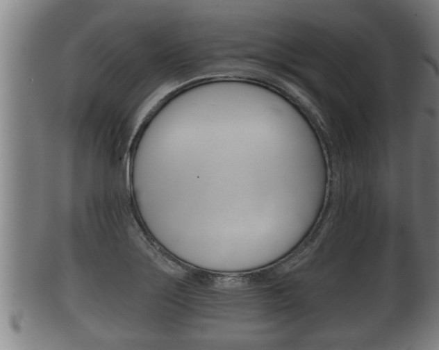 X0000100371275200806060753