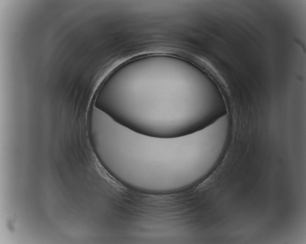 X0000100371276200806060753