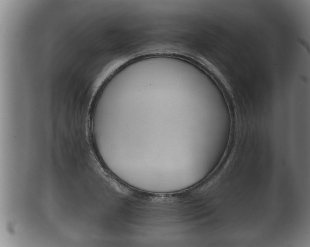 X0000100371277200806060753