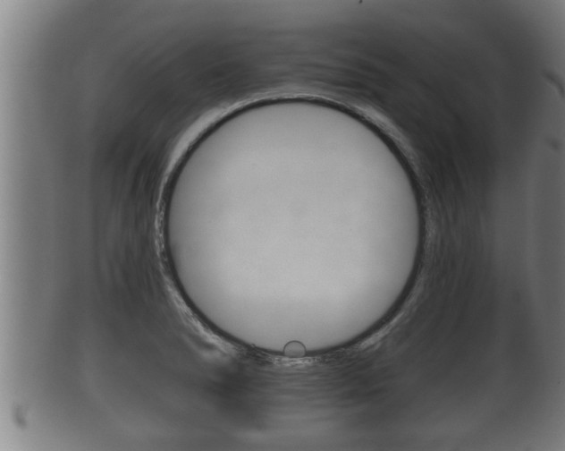 X0000100371278200806060753