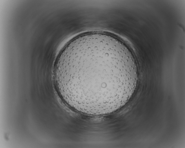 X0000100371279200806060753