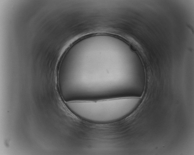 X0000100371280200806060753
