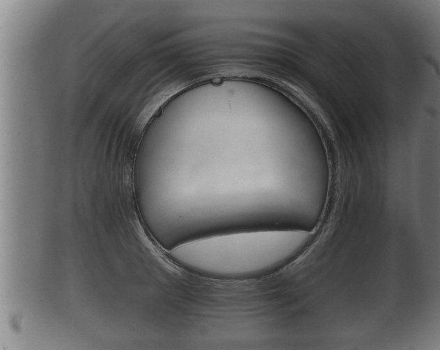 X0000100371281200806060753