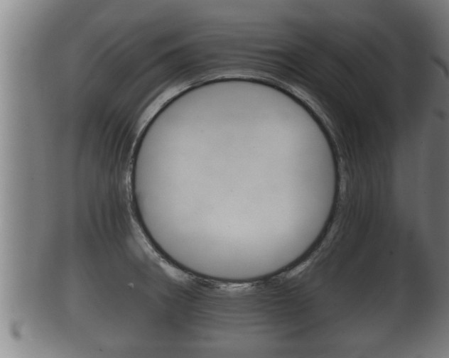 X0000100371282200806060753