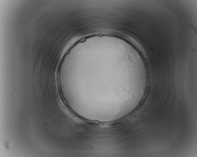 X0000100371283200806060753