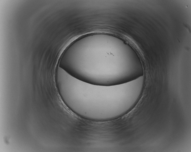 X0000100371284200806060753
