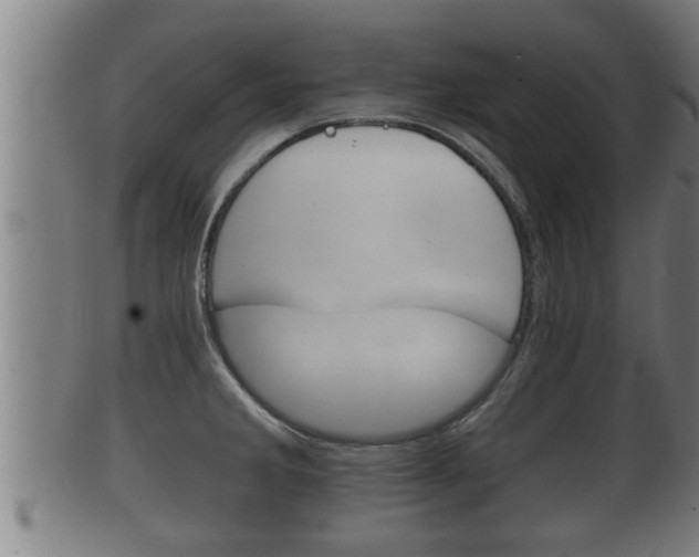 X0000100371285200806060753