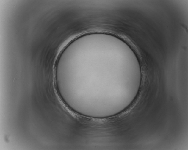 X0000100371286200806060753