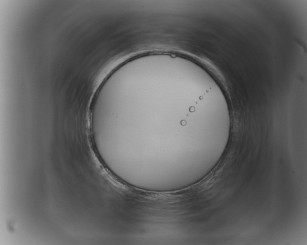 X0000100371287200806060753
