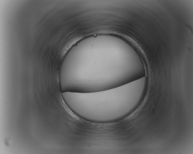 X0000100371289200806060753