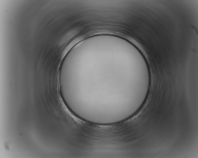 X0000100371290200806060753