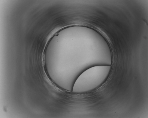 X0000100371291200806060753