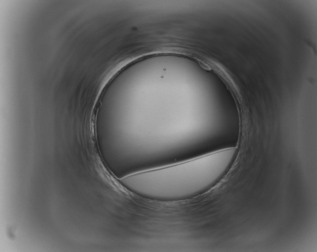X0000100371292200806060753