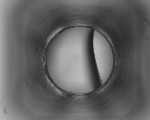 X0000100371293200806060753
