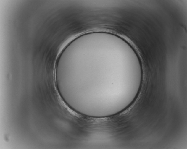 X0000100371294200806060753