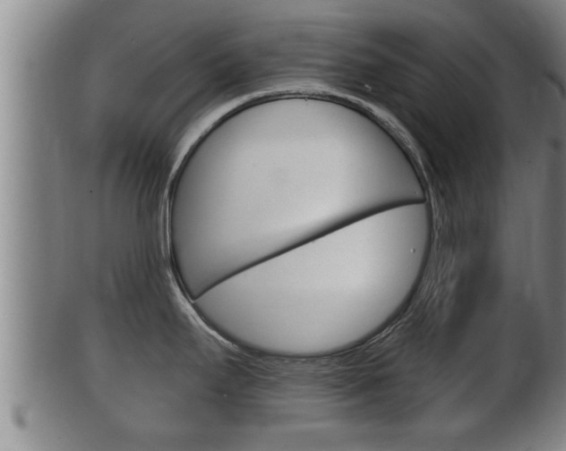 X0000100371295200806060753