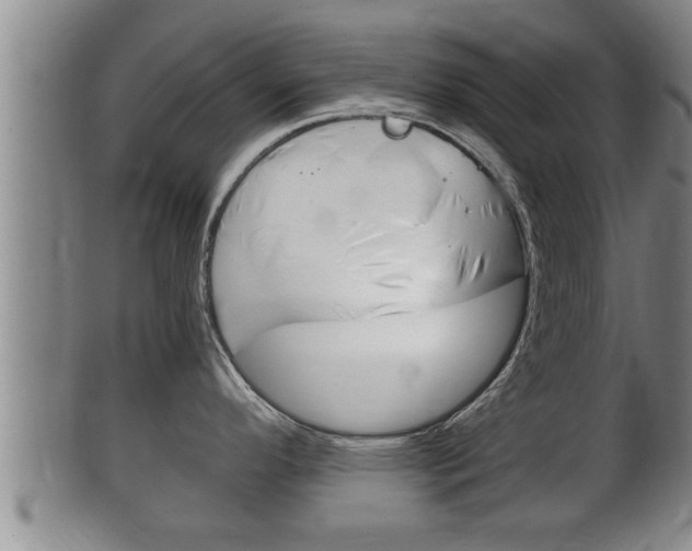 X0000100371296200806060753