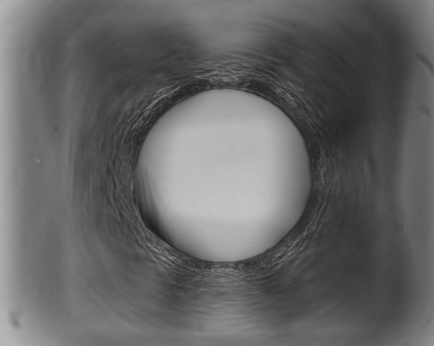 X0000100371297200806060752