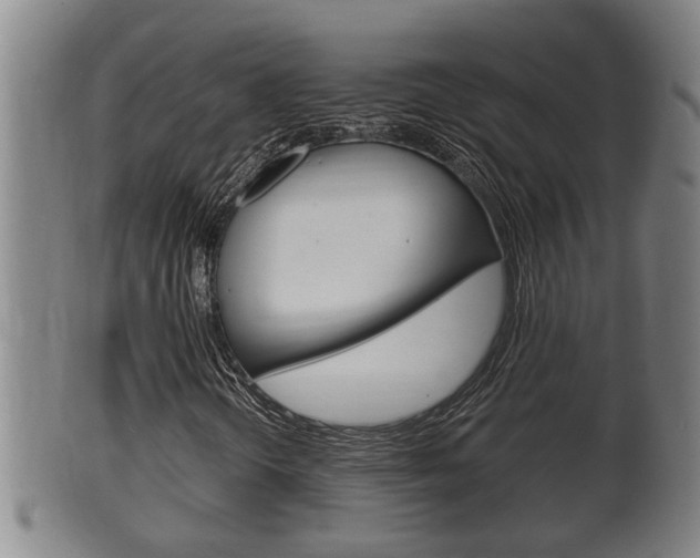 X0000100371298200806060752