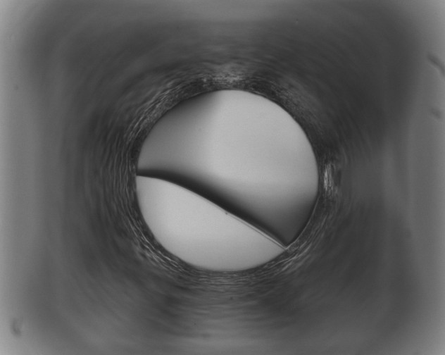 X0000100371299200806060752