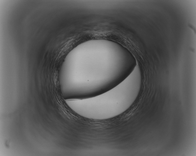 X0000100371300200806060752