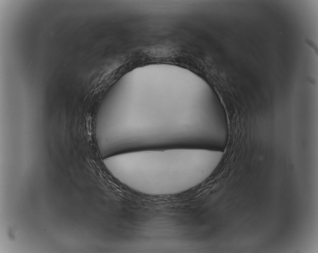 X0000100371301200806060752