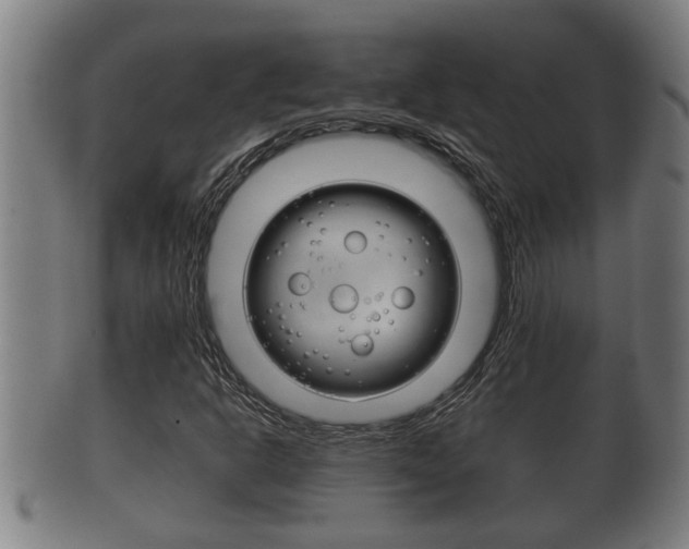 X0000100371302200806060752